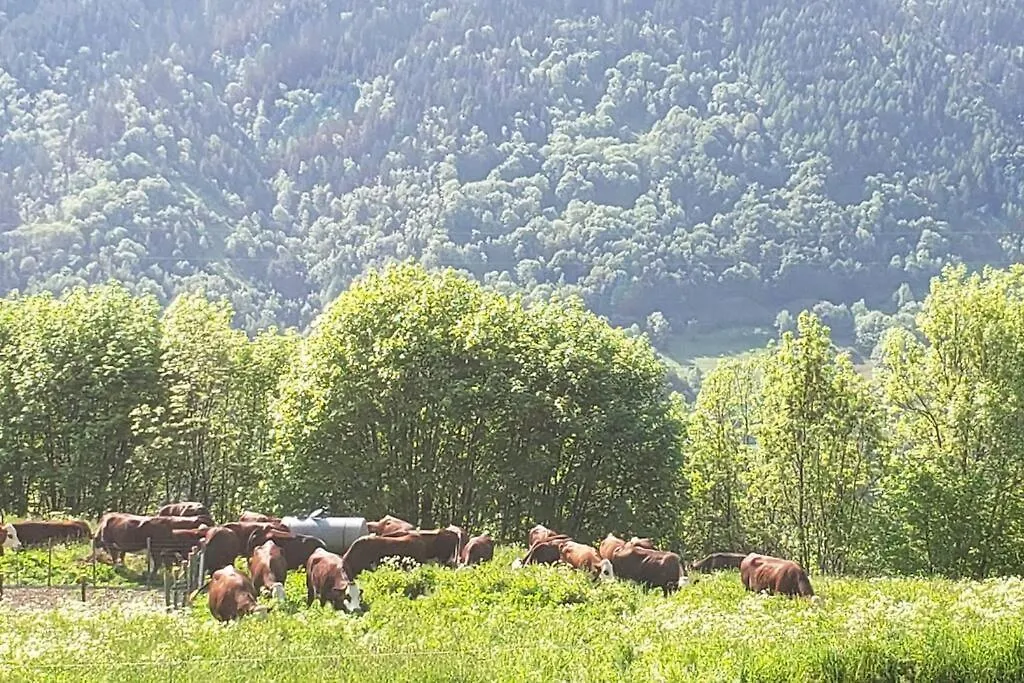 La Lotiere Villa Fontaine-le-Puits France